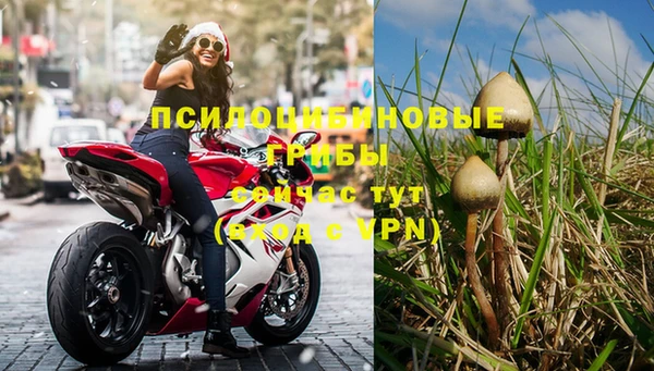 молекула духа Вязники